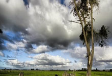 33球追平C罗,再进5球独享皇马第一人,姆巴佩距金球奖还有多远?.