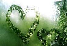 开云体育官网:里萨谢单节轰下11分,帮助老鹰领先多达20分.