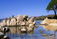 开云体育官网：里萨谢单节轰下11分，帮助老鹰领先多达20分.